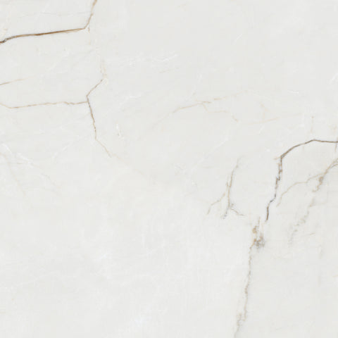 Destino Juliet Glossy 24x24 Porcelain Tile