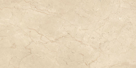 Ecstasy Paradise 24x48 Glossy Porcelain Slab