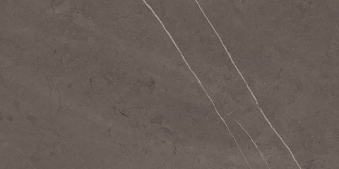 Ecstasy Delirium 24x48 Matte Porcelain Slab