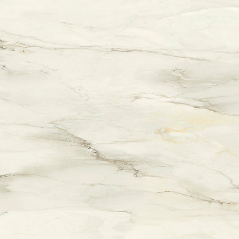 Ecstasy Elation 48x48 Glossy Porcelain Tile