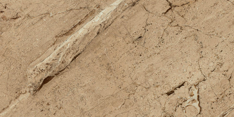 Ecstasy Joy 30x60 Matte Porcelain Tile