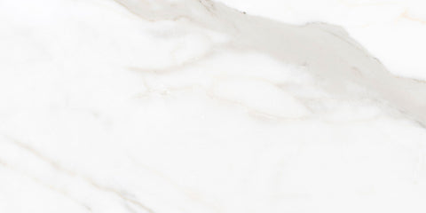 Ecstasy Pleasure 24x48 Glossy Porcelain Slab