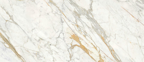 Ecstasy Thrill 48x110 Glossy Porcelain Slab