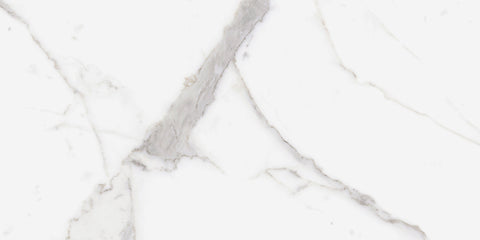 Ecstasy Zeal 24x48 Glossy Porcelain Slab