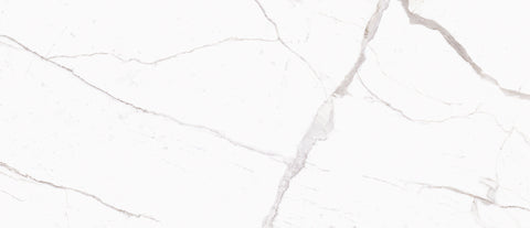 Ecstasy Zeal 48x110 Matte Porcelain Slab