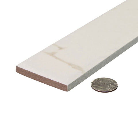 Lusso Modello 2.5x10 Matte Tile
