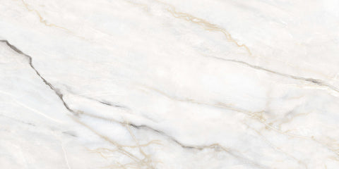 Noble Pallido 12x24 Polished Tile