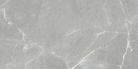 Renaissance Amani Grey 12x24 Polished