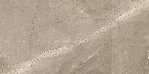 Renaissance Amani Bronze 12x24 Matte