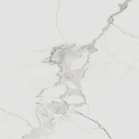 Renaissance Calacatta 24x24 Matte