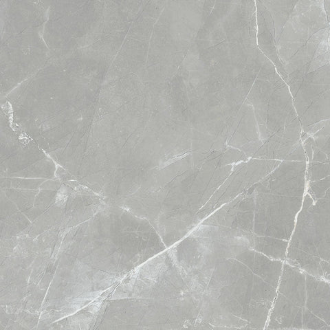Renaissance Amani Grey 24x24 Polished