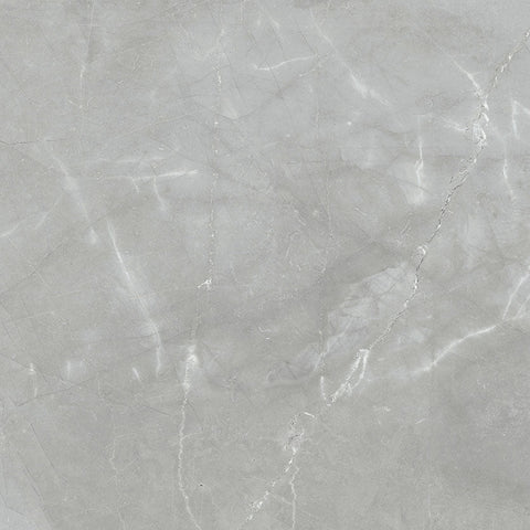 Renaissance Amani Grey 24x24 Matte