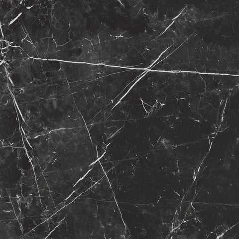 Renaissance Nero Marquina 24x24 Matte