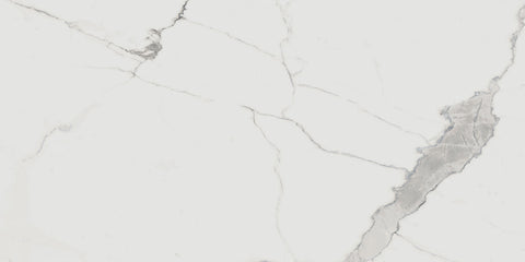 Renaissance Calacatta 24x48 Polished