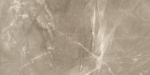 Renaissance Amani Bronze 24x48 Polished