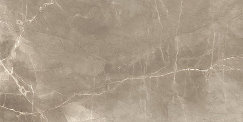 Renaissance Amani Bronze 24x48 Matte