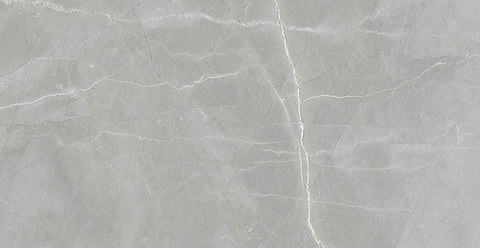 Renaissance Amani Grey 24x48 Polished