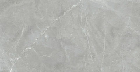 Renaissance Amani Grey 24x48 Matte