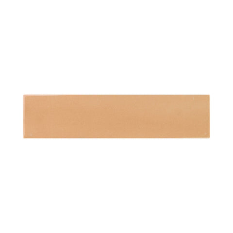 Sorbet Grapefruit 2x10 Glossy