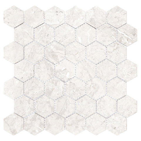 Harmonic Forte 2x2 Matte Hex Mosaic