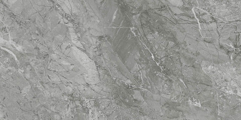 Destino Renzo Matte 12x24 Porcelain Tile
