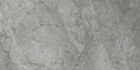 Destino Renzo Matte 24x48 Porcelain Tile