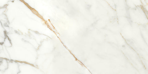 Ecstasy Thrill 24x48 Matte Porcelain Slab