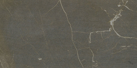 Argillite Ardesia 12x24 Natural