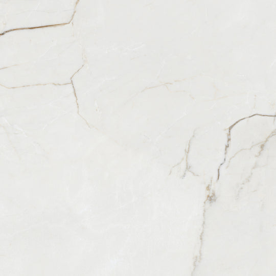 Destino Juliet Glossy 24x24 Porcelain Tile