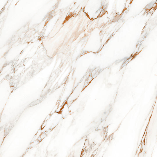 Destino Lucia Glossy 24x24 Porcelain Tile