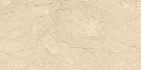 Ecstasy Paradise 12x24 Glossy Porcelain Tile