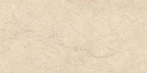 Ecstasy Paradise 12x24 Matte Porcelain Tile