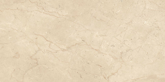 Ecstasy Paradise 24x48 Glossy Porcelain Slab