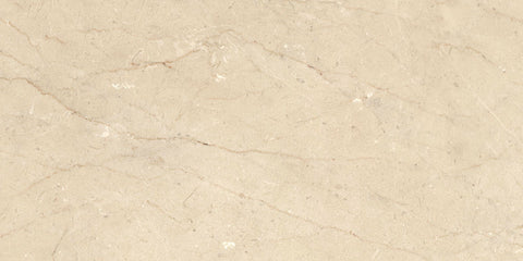 Ecstasy Paradise 30x60 Matte Porcelain Tile