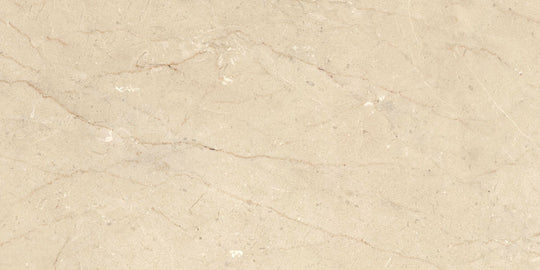 Ecstasy Paradise 30x60 Matte Porcelain Tile