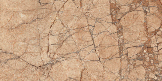 Ecstasy Bliss 24x48 Glossy Porcelain Slab