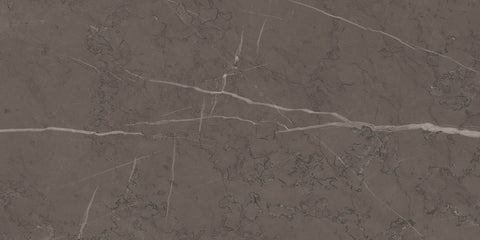 Ecstasy Delirium 12x24 Matte Porcelain Tile