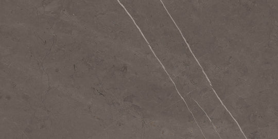 Ecstasy Delirium 30x60 Matte Porcelain Tile