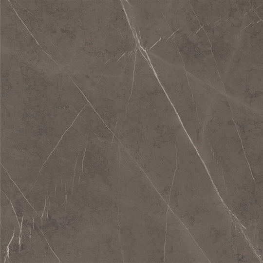 Ecstasy Delirium 48x48 Glossy Porcelain Tile