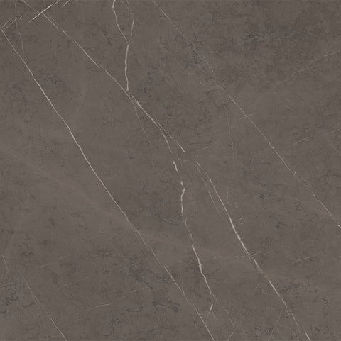 Ecstasy Delirium 48x48 Matte Porcelain Tile