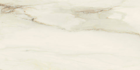 Ecstasy Elation 24x48 Glossy Porcelain Slab