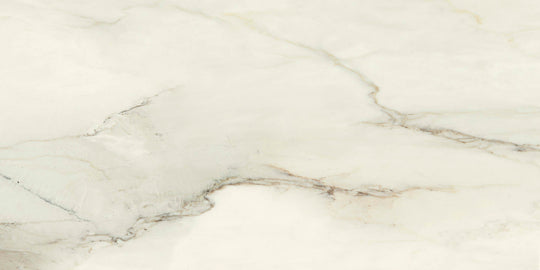 Ecstasy Elation 24x48 Matte Porcelain Slab