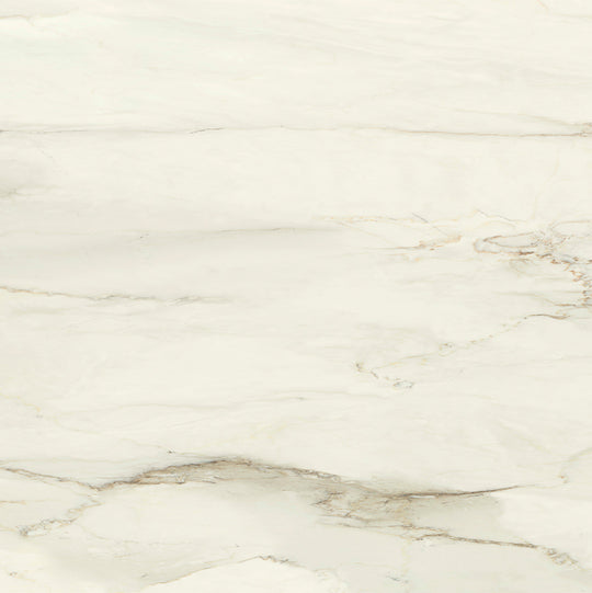 Ecstasy Elation 48x48 Matte Porcelain Tile