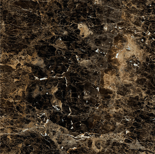 Ecstasy Frenzy 48x48 Glossy Porcelain Tile