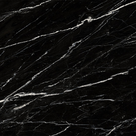 Ecstasy Intoxication 48x48 Matte Porcelain Tile