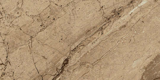 Ecstasy Joy 24x48 Glossy Porcelain Slab