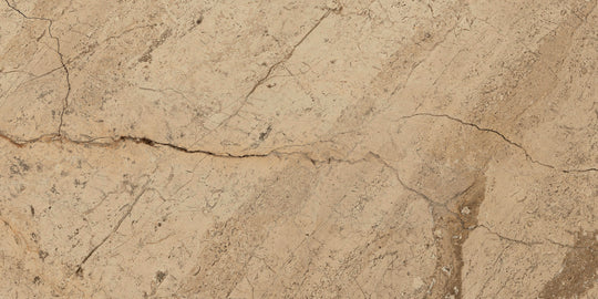 Ecstasy Joy 24x48 Matte Porcelain Slab