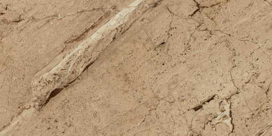 Ecstasy Joy 30x60 Matte Porcelain Tile