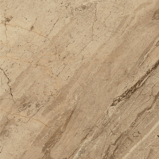 Ecstasy Joy 48x48 Glossy Porcelain Tile