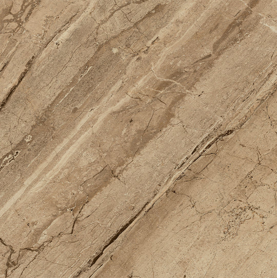 Ecstasy Joy 48x48 Matte Porcelain Tile